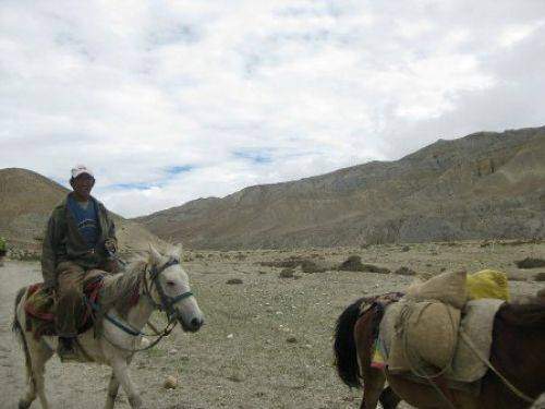 TREKKING IN MUSTANG 2010